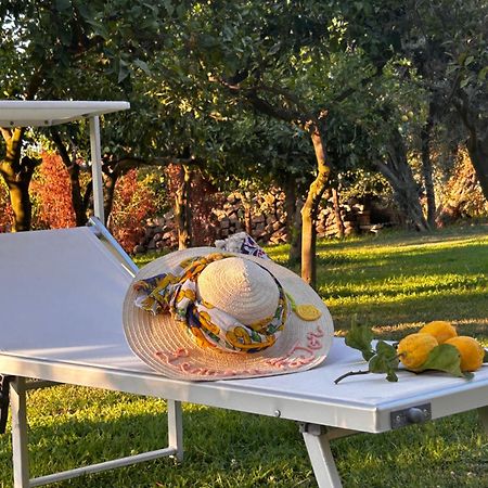 Bed and Breakfast Lemon Factor Sorrento Esterno foto