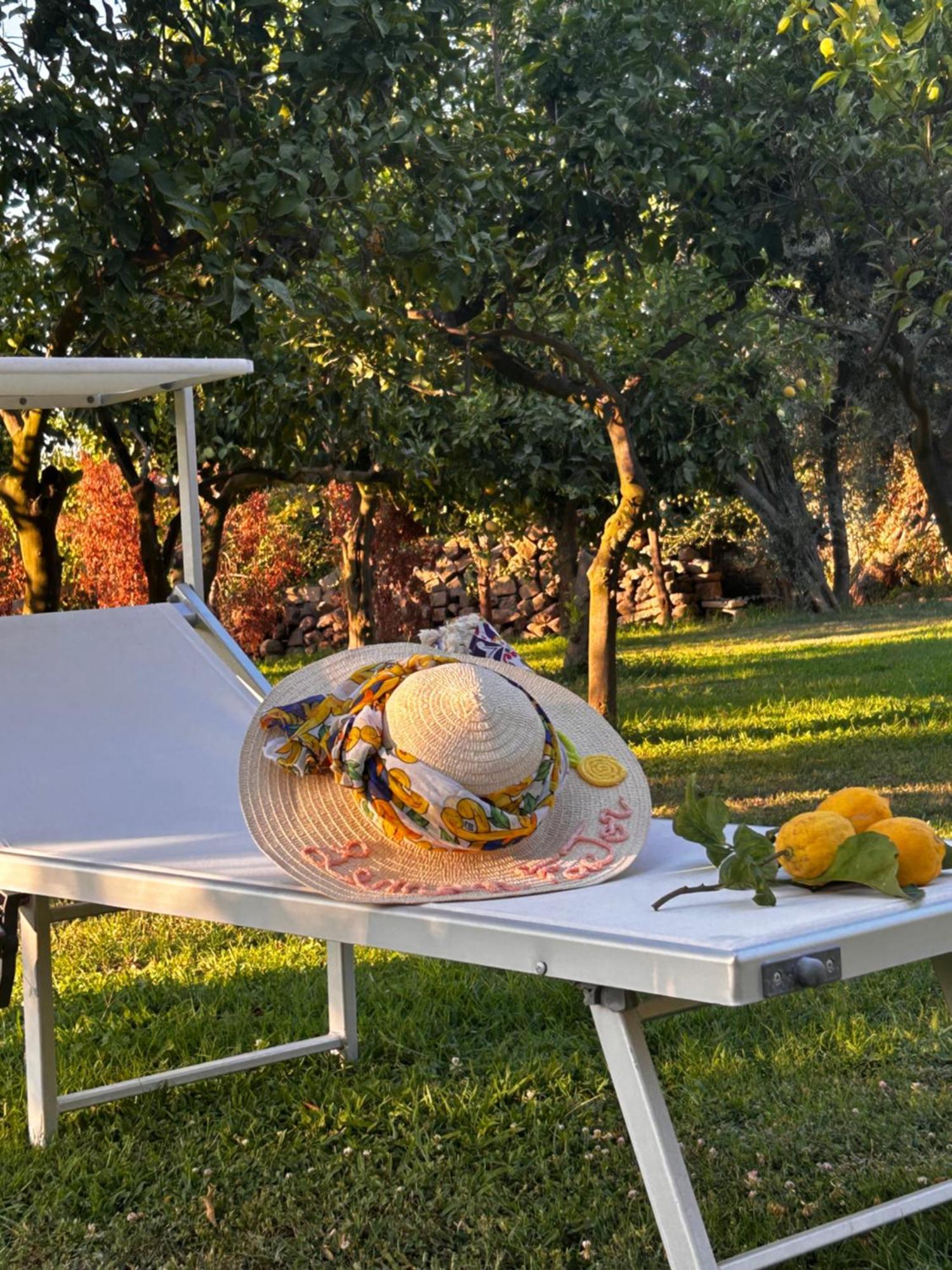 Bed and Breakfast Lemon Factor Sorrento Esterno foto