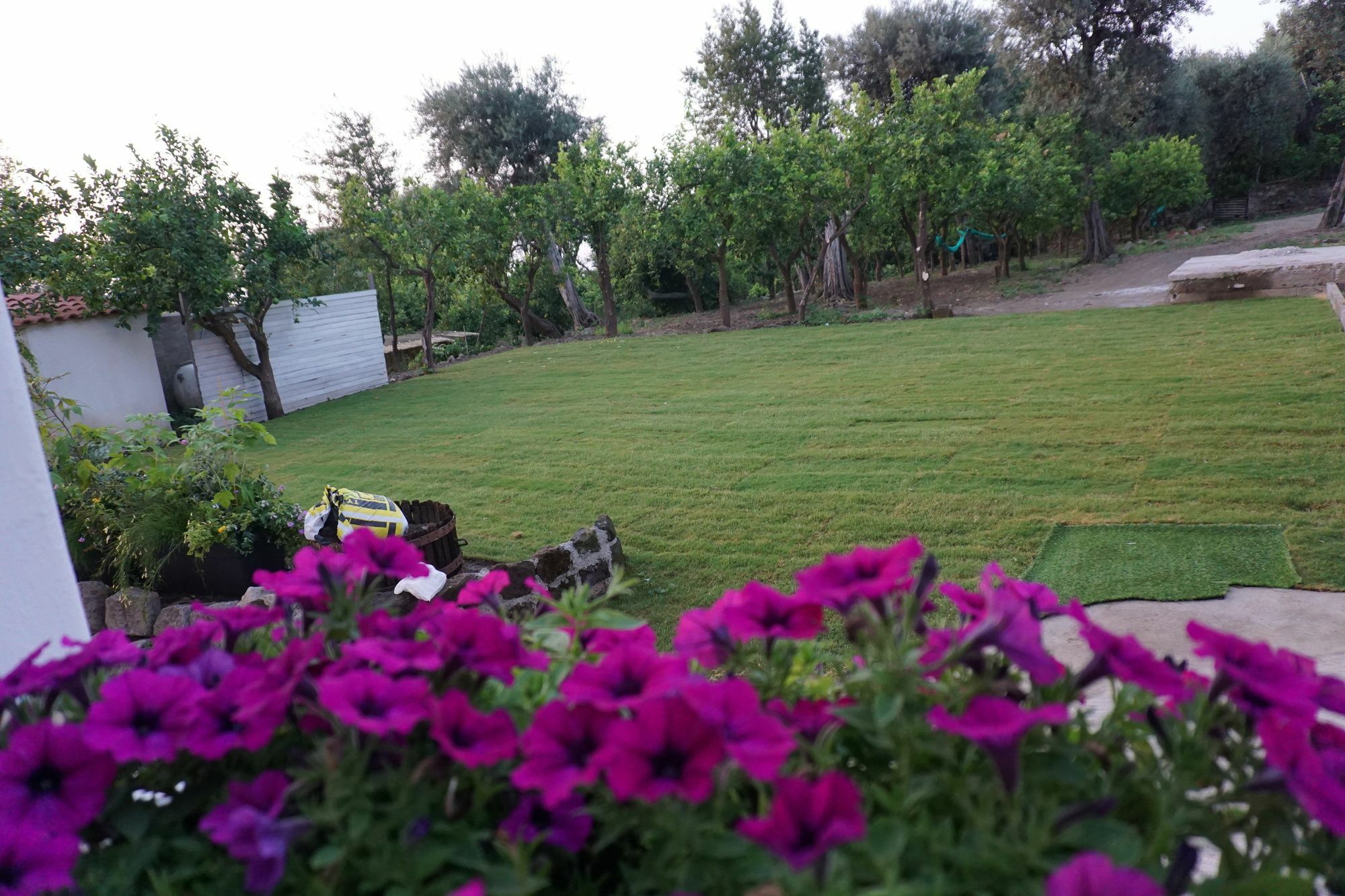 Bed and Breakfast Lemon Factor Sorrento Esterno foto