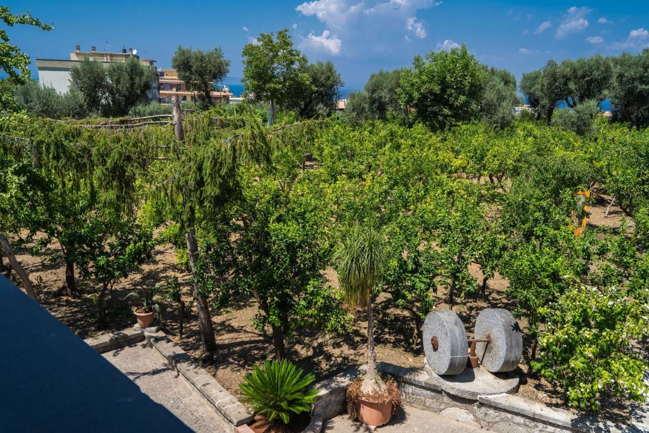Bed and Breakfast Lemon Factor Sorrento Esterno foto