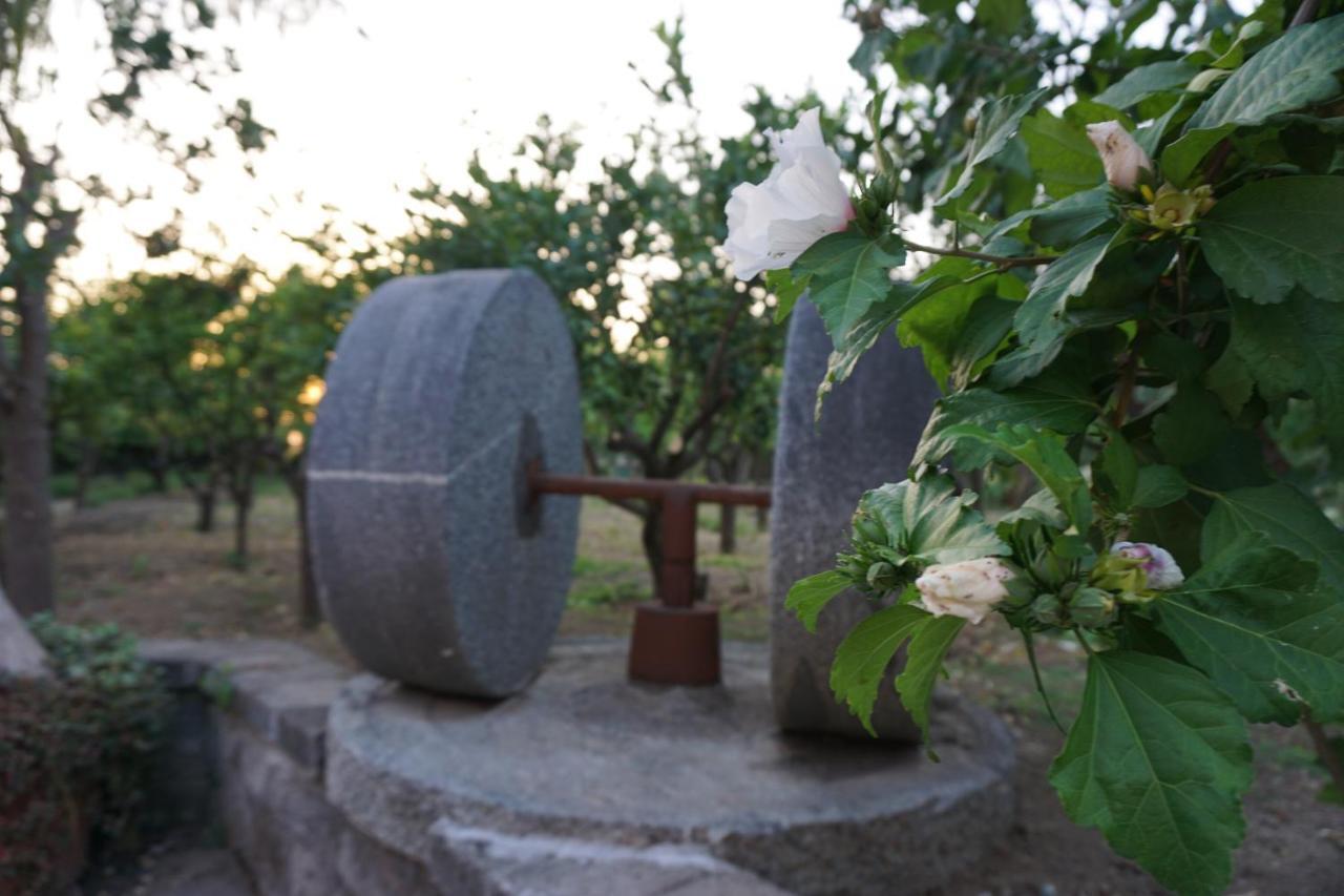 Bed and Breakfast Lemon Factor Sorrento Esterno foto